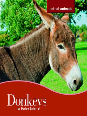 cover image of Donkeys